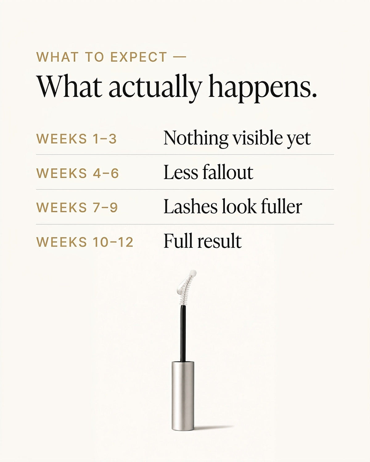 What to expect across weeks one to twelve