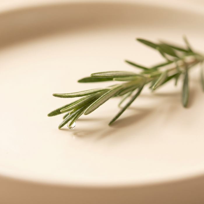 Rosemary Leaf Oil